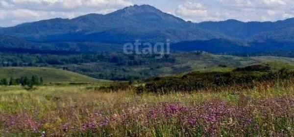 земля р-н Солонешенский п Тог-Алтай ул Трактовая фото 5