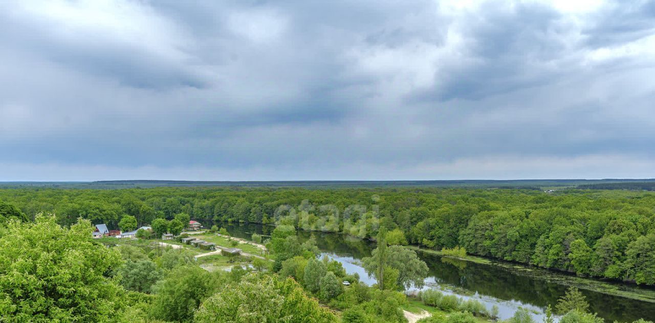 земля р-н Рамонский д Писаревка ул Центральная Карачунское с/пос фото 11