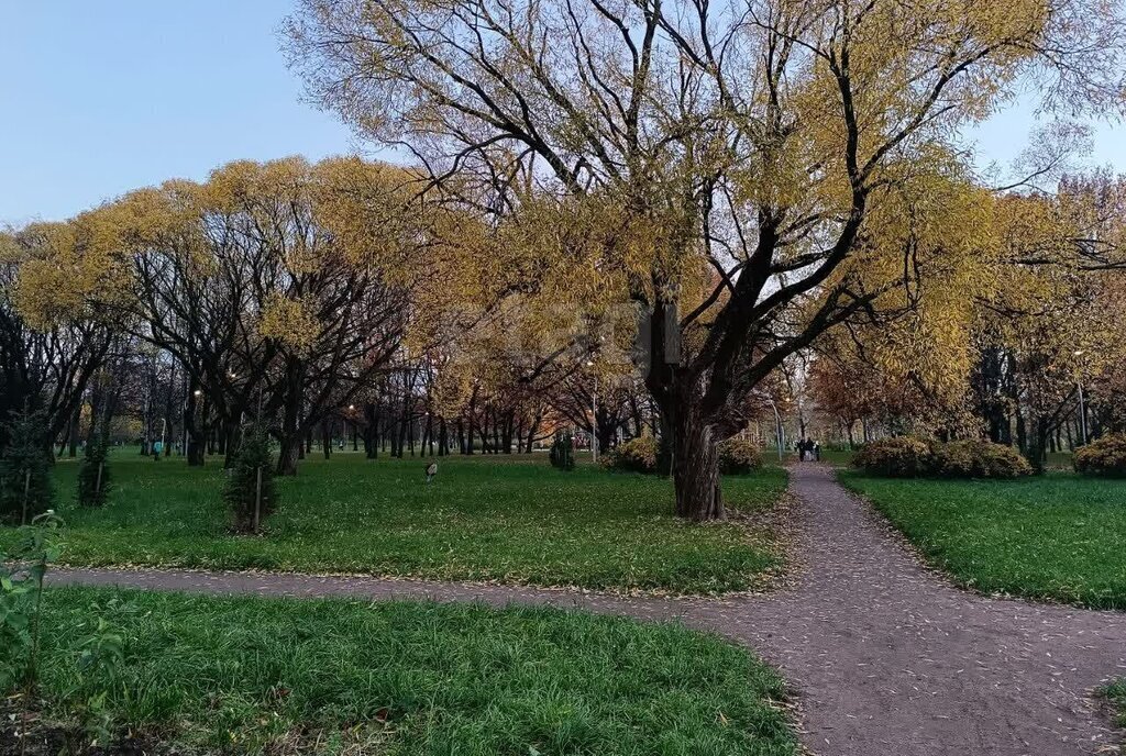 квартира г Санкт-Петербург п Парголово Парнас метро Парнас Толубеевский проезд, 14к 1 фото 25