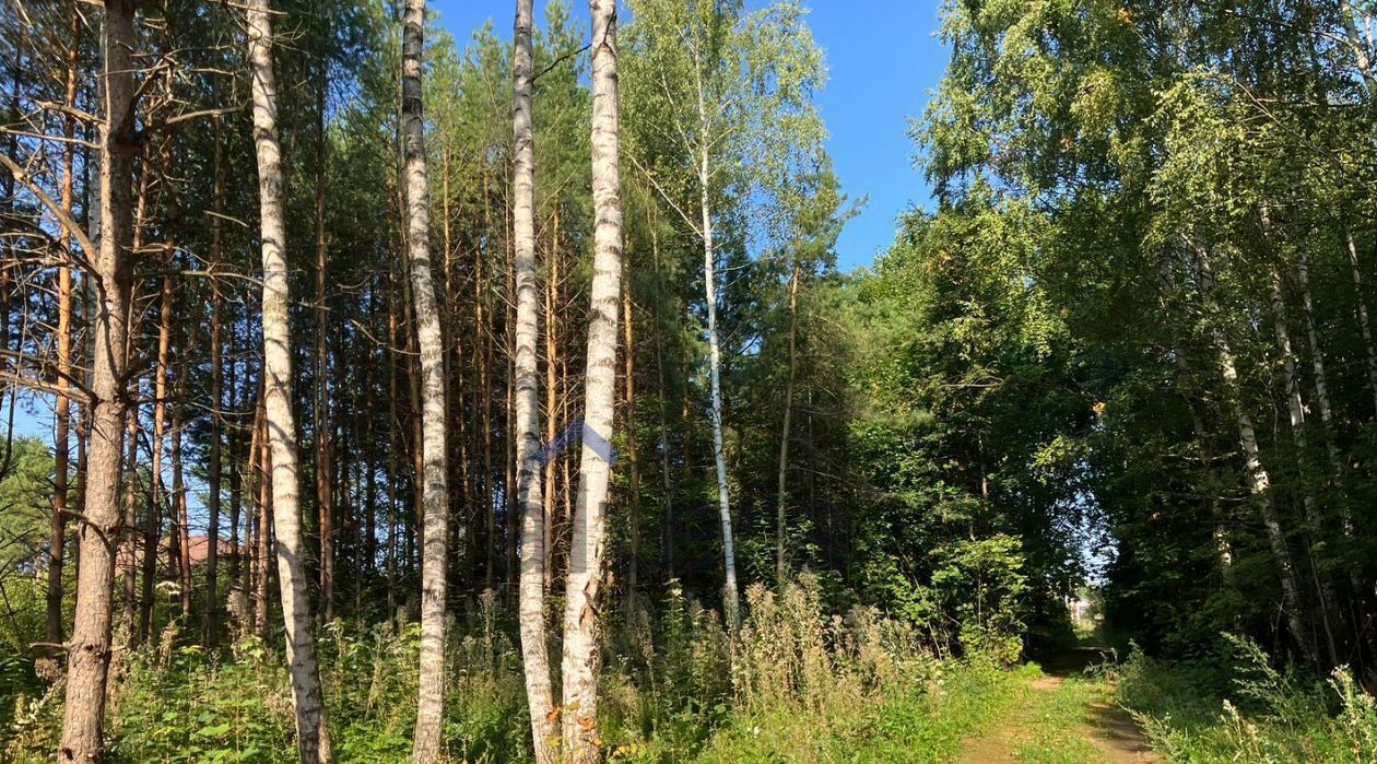 земля р-н Пестречинский снт Заречье-2 Шигалеевское с/пос, садоводческое товарищество, 305 фото 3