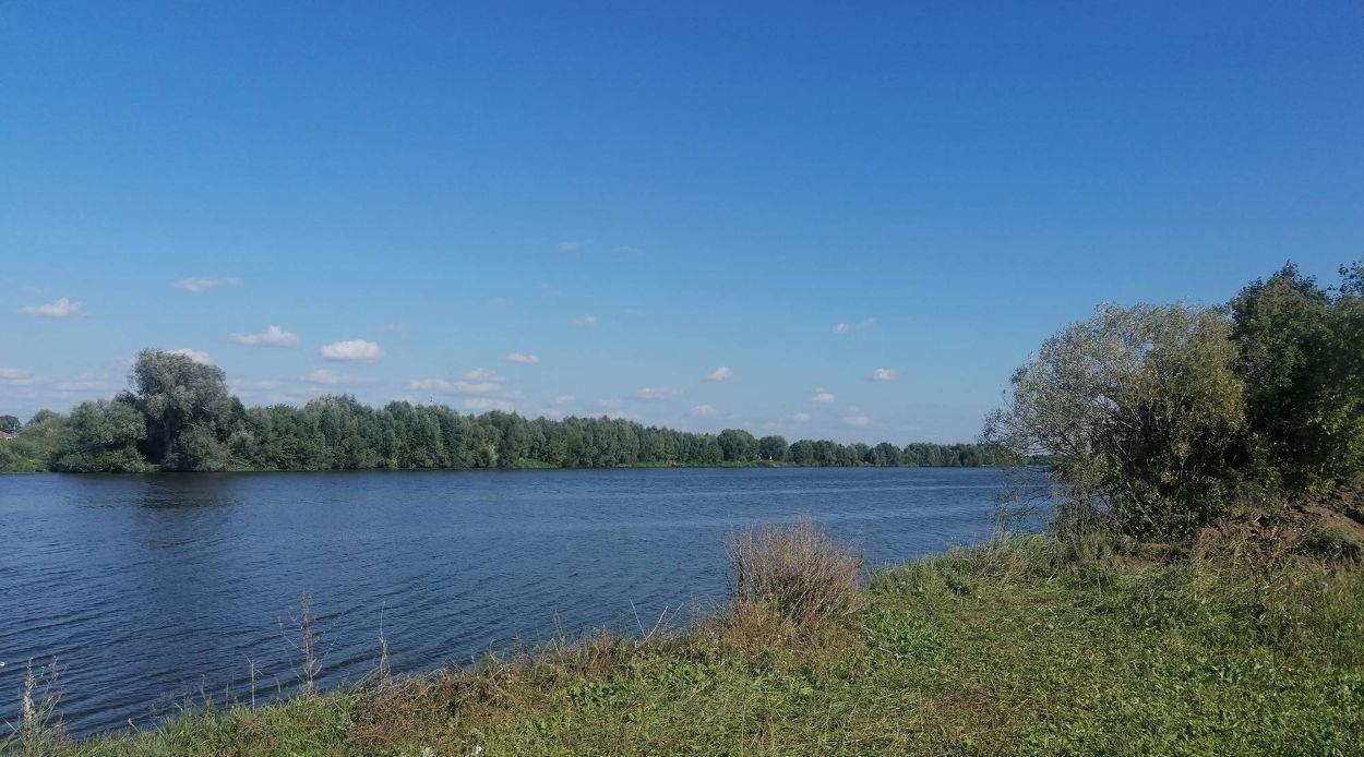 земля Воскресенск городской округ, Чайка дп фото 3