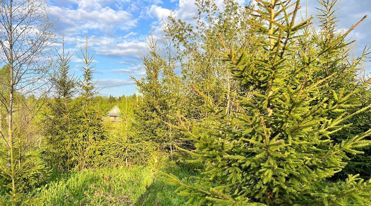 земля городской округ Дмитровский Морозово Парк кп фото 17