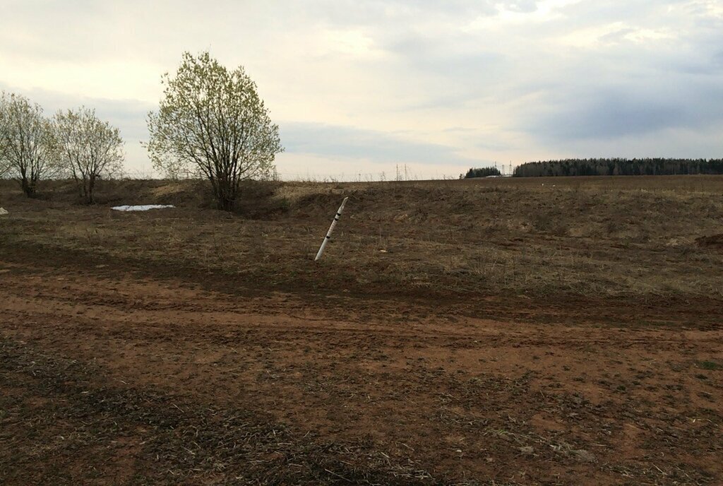 земля р-н Кирово-Чепецкий д Дресвяново ул Безымянная Бурмакинское сельское поселение фото 7