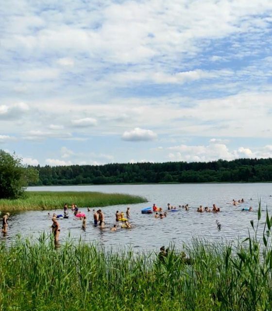 земля р-н Гатчинский КП Орлинка фото 1