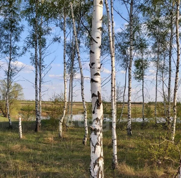 земля р-н Тамбовский с Малиновка 1-я, ул. Панорамная, 73 фото 5