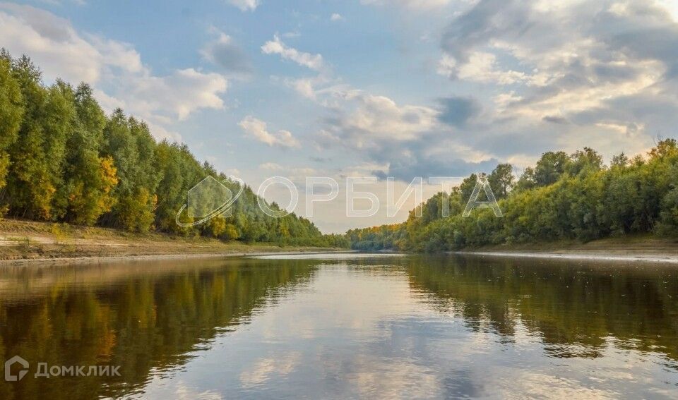 земля р-н Вагайский фото 3