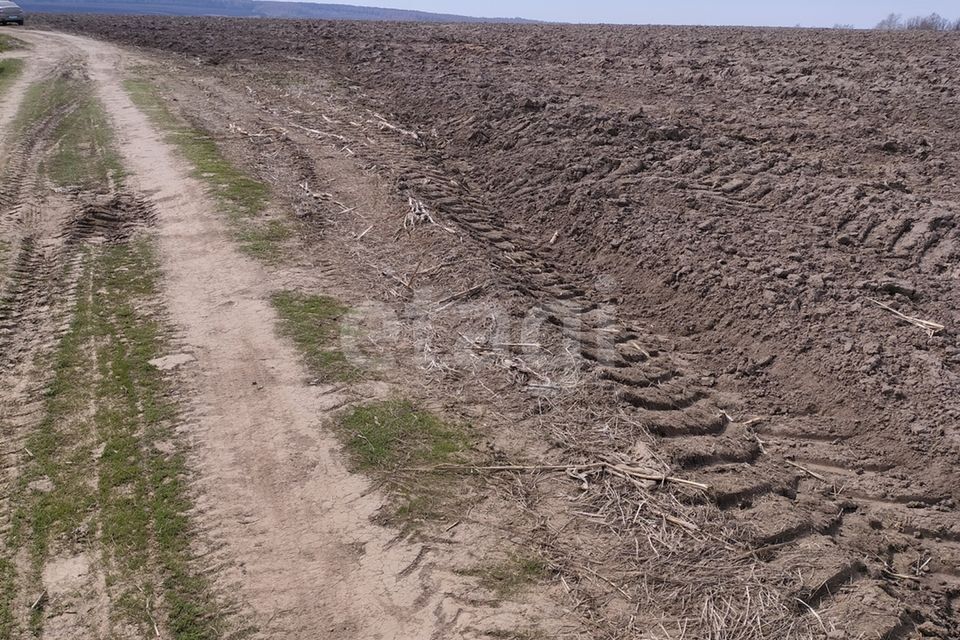 земля р-н Ясногорский с Красино-Убережное 36 фото 4