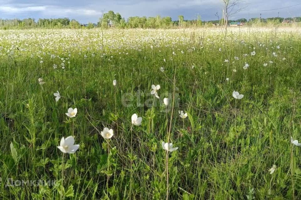 земля р-н Березовский фото 1