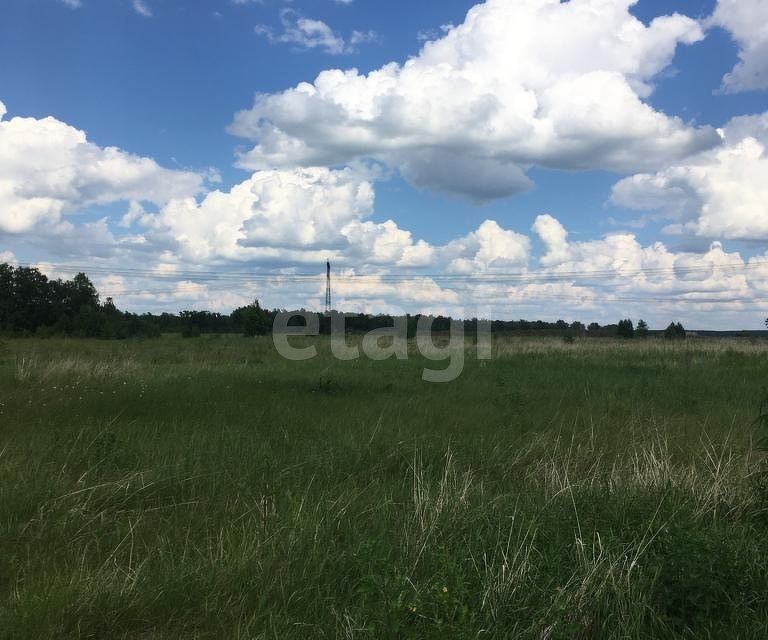 земля р-н Березовский снт Ермолаевка-2 ул Удачная 4 фото 3