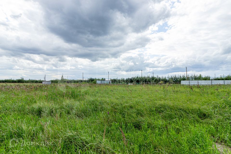 земля г Тюмень городской округ Тюмень, ДНТ Большое Царёво - 1 фото 8