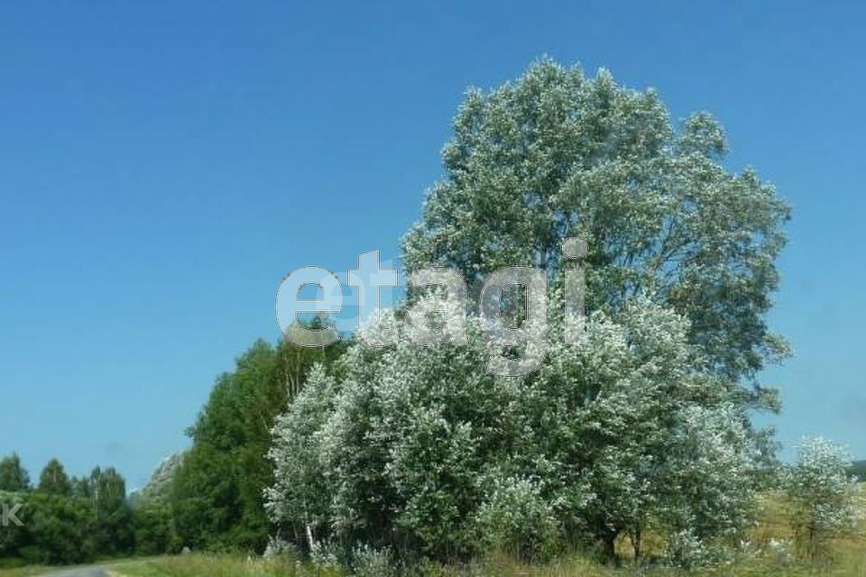 земля р-н Бабынинский фото 3