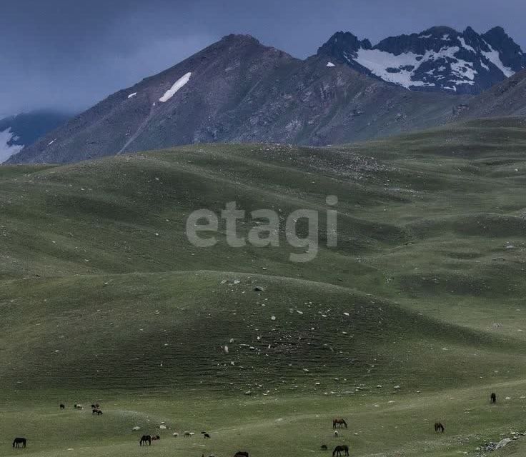 земля р-н Алагирский п Верхний Фиагдон Административное здание фото 3