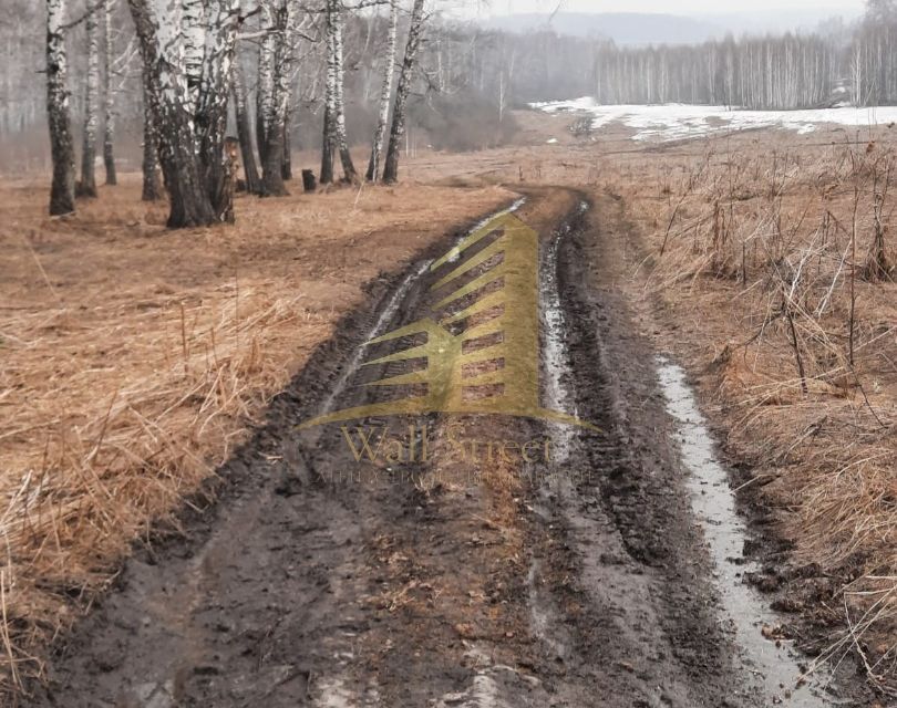 земля р-н Новосибирский фото 8