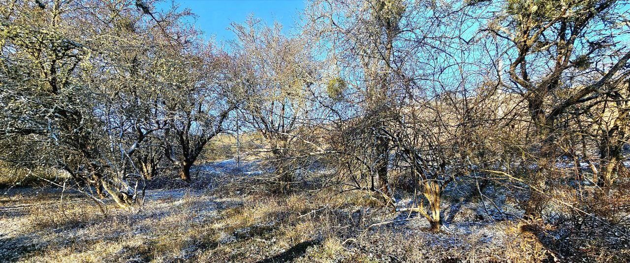 земля р-н Симферопольский с Пионерское ул Мариупольская с пос, Добровское фото 8