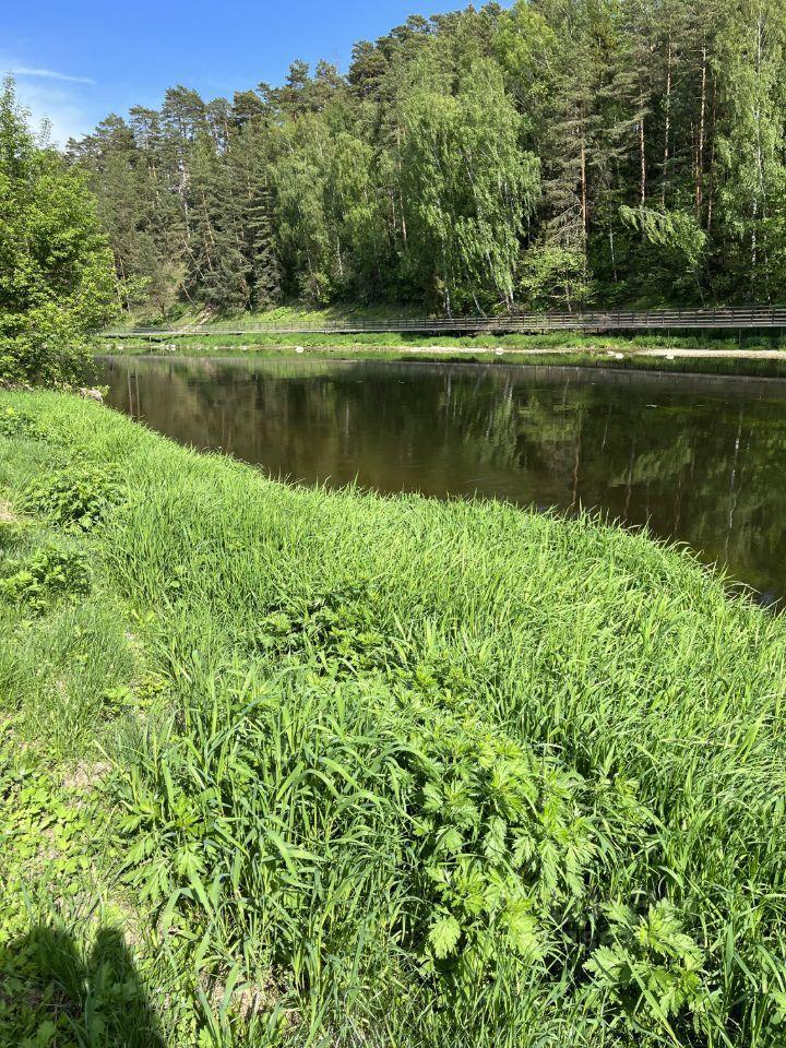 земля городской округ Одинцовский с Троицкое 8А, Старый Городок фото 7