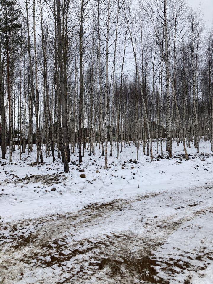 земля г Павловск Ленинградская область фото 3
