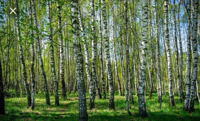 г Благовещенск фото