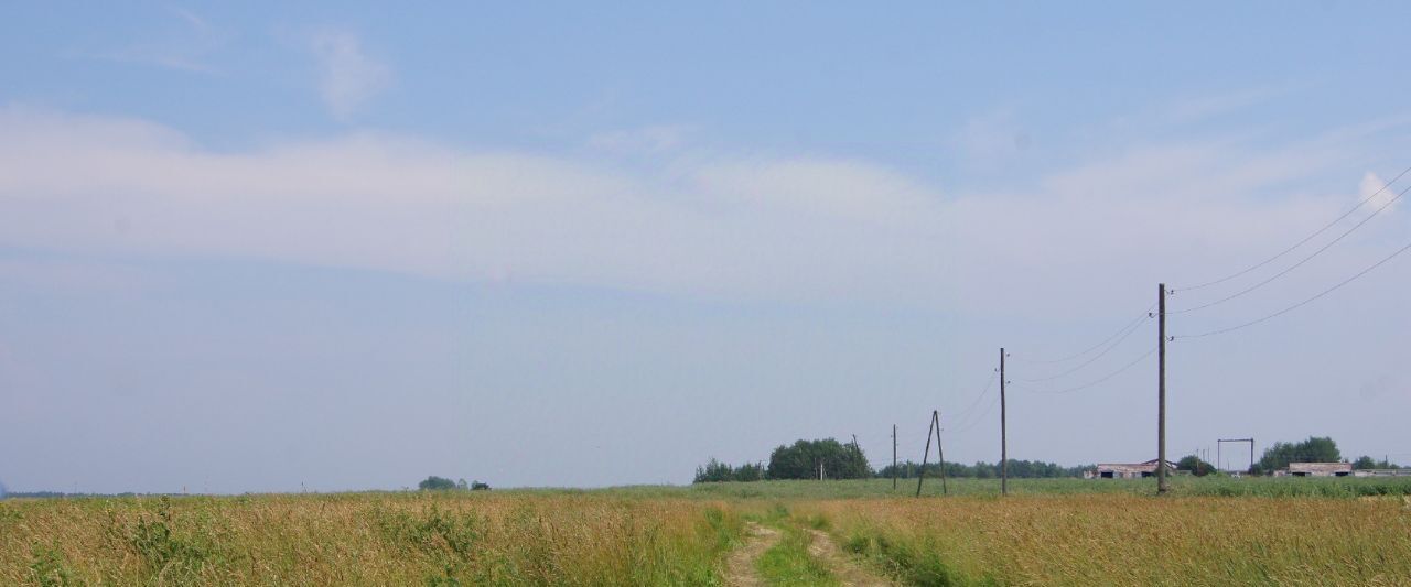 земля городской округ Клин д Губино днт Чистые пруды фото 1