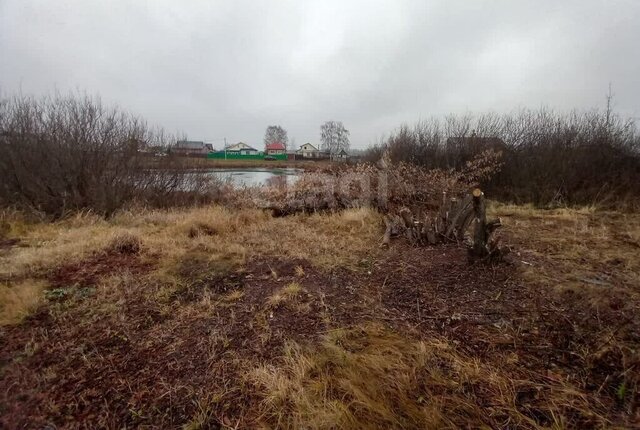 д Красный Яр ул Одинцова Айшинское сельское поселение, Северный Вокзал фото