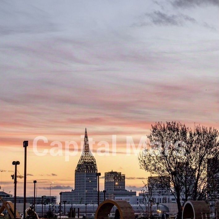 квартира г Санкт-Петербург метро Приморская ул Челюскина 2 фото 9