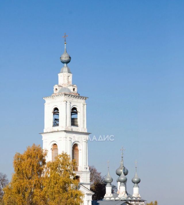 земля р-н Собинский с Бабаево ул Спасская фото 9