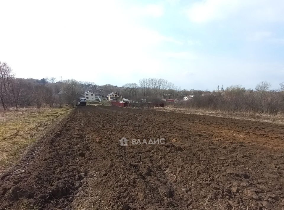 дом р-н Суздальский с Брутово ул Запрудная муниципальное образование, Павловское фото 12