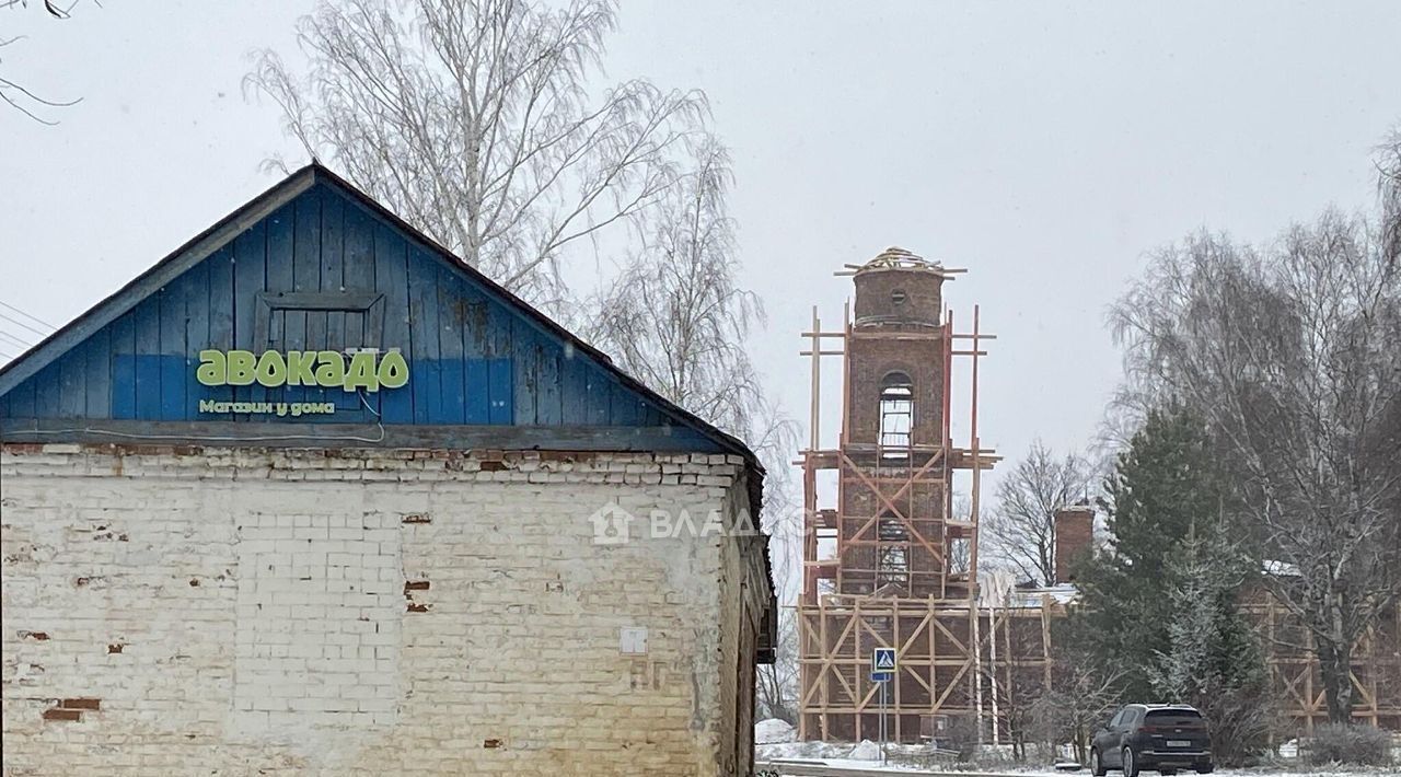 земля г Владимир с Спасское ул Центральная 30 р-н Ленинский фото 19