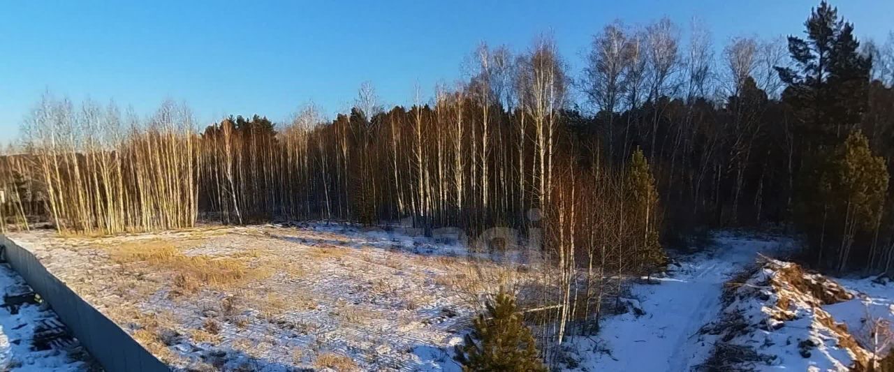 земля р-н Тюменский с Княжево ул Бирюзовая фото 6