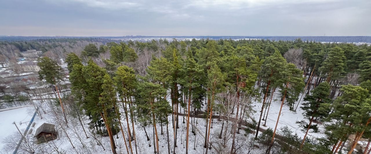 квартира городской округ Домодедово д Одинцово территория Бор Подольск, 10 фото 3