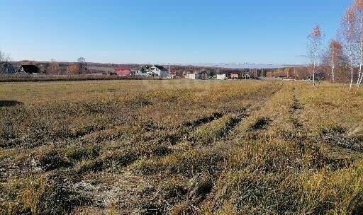 земля д Борисовское городской округ Коломна фото