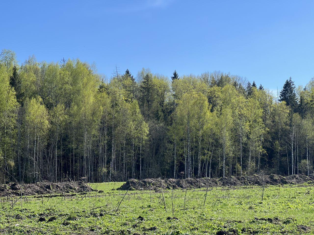 земля городской округ Истра д Загорье Рижские зори кп, 71 фото 4