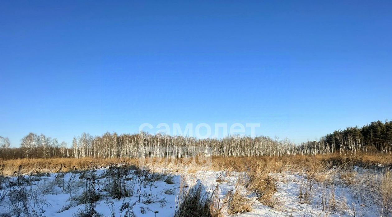 земля г Верхняя Пышма с Балтым ул Летняя фото 4