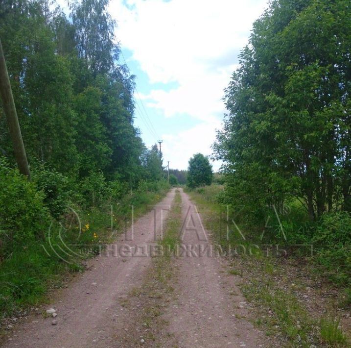 земля р-н Выборгский п Красносельское Красносельское сельское поселение фото 9