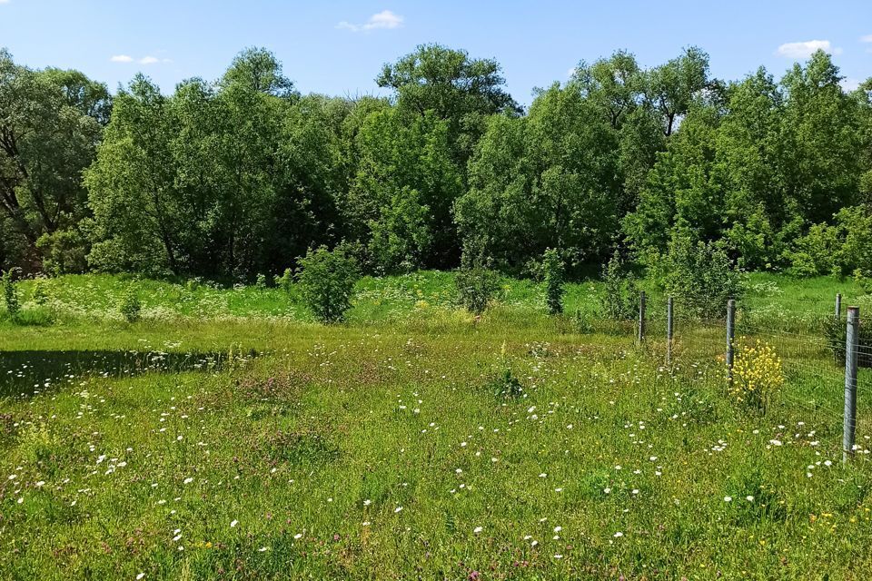 земля городской округ Озерский с Фроловское ул Центральная Коломна городской округ фото 3