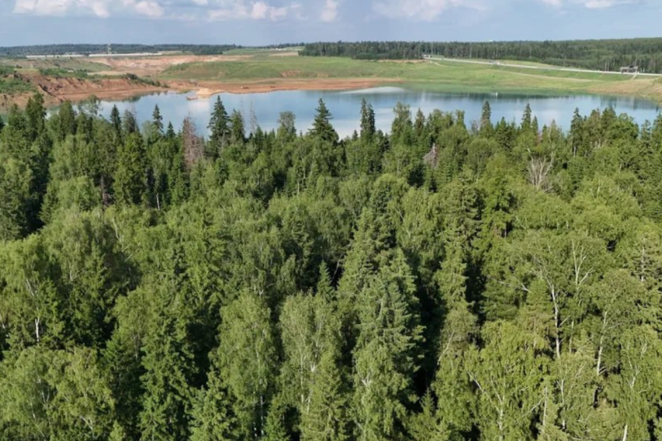 земля городской округ Дмитровский д. Удино фото 1