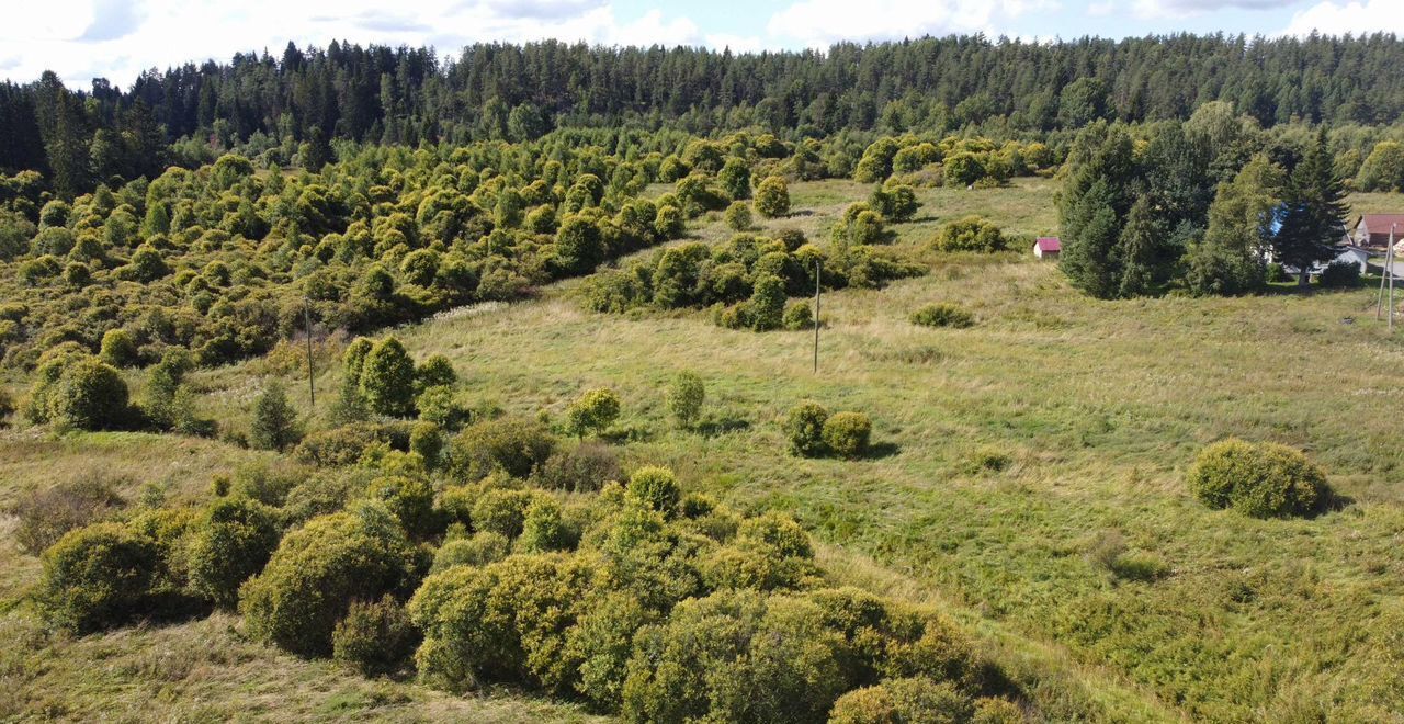 земля р-н Лахденпохский п Отсанлахти Куркиёкское сельское поселение, Лахденпохья фото 2