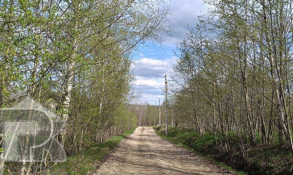 земля городской округ Клин д. Ивановское фото 5