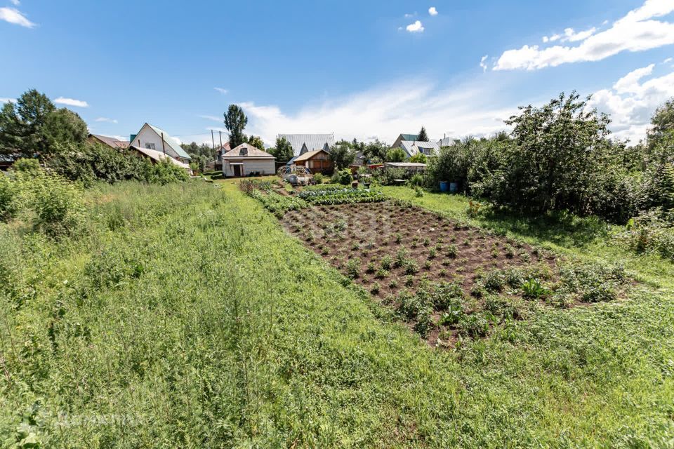 земля городской округ Барнаул, село Лебяжье фото 8