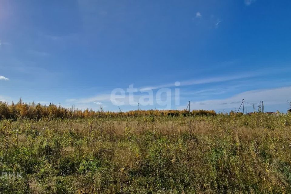 земля р-н Октябрьский фото 2