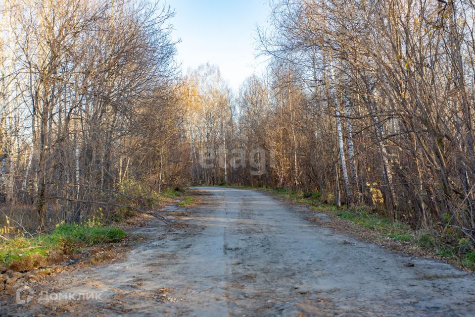 земля г Тобольск улица Центральная, 24, Тобольск городской округ фото 3