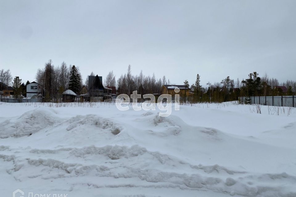 земля г Нижневартовск Северный промышленный узел города, Нижневартовск городской округ фото 6