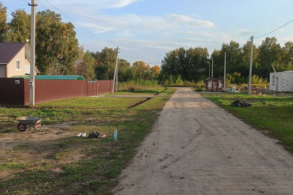 дом р-н Первомайский п Новый ул Толстого 4 Берёзовский сельсовет фото 9