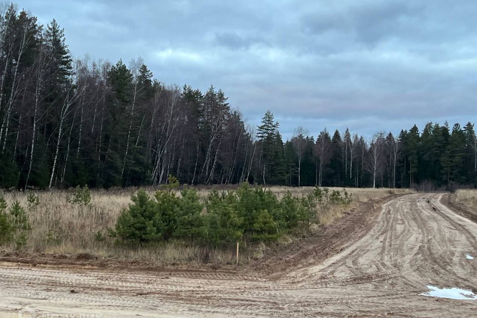 земля р-н Киржачский с Филипповское ул Березовая 2 фото 6