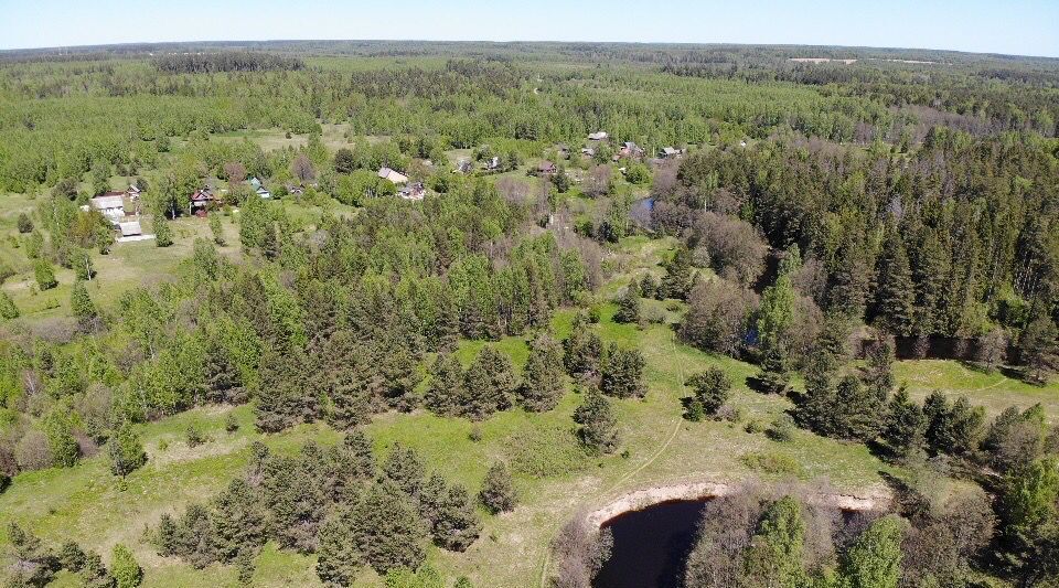 земля р-н Чкаловский д Ульянково Чкаловск городской округ фото 6