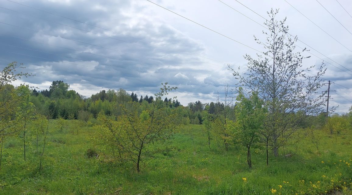 офис городской округ Наро-Фоминский г Верея фото 4