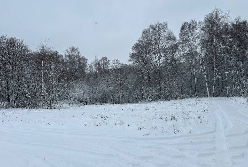 земля городской округ Истра д Сафонтьево днп терСафонтьевские дачи фото 17