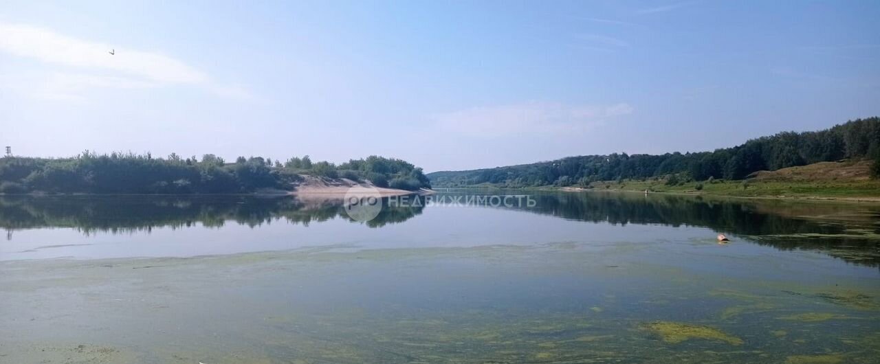 дом р-н Рыбновский д Медведево Пощуповское сельское поселение, Рязань фото 22