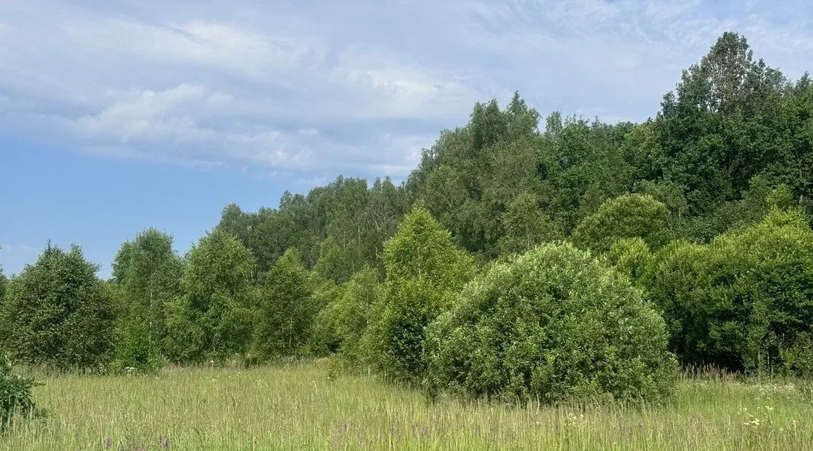 земля г Воскресенск снт Прибор Апрелевка, Наро-Фоминский городской округ фото 17