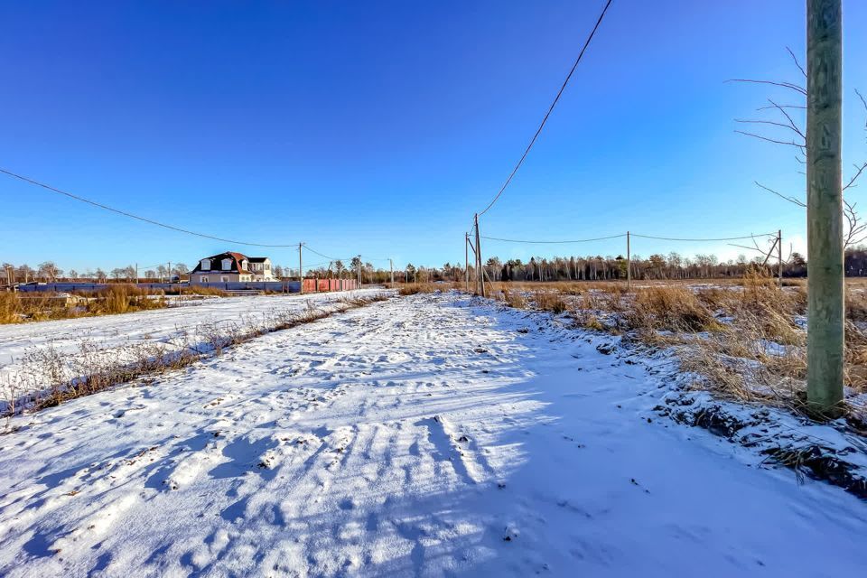 земля р-н Ломоносовский фото 7