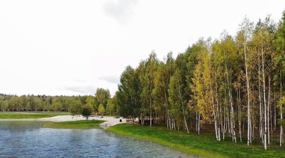 земля городской округ Ступино с Мышенское фото 16